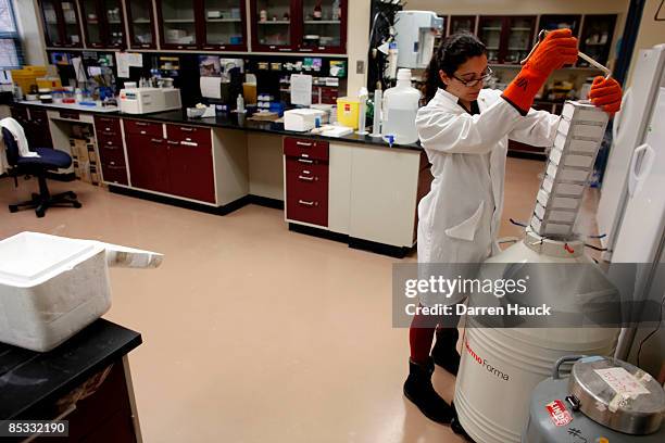 Jessica Dias, associate research specialist, at the Wisconsin National Primate Research Center at University Wisconsin-Madison removes a new batch of...