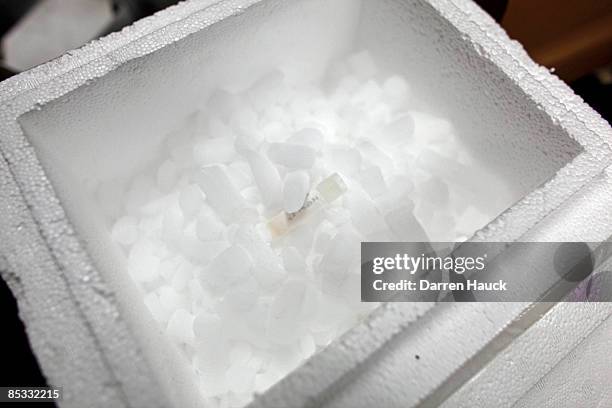 Vile containing a new batch of embryonic stem cells sits in dry ice after being removed from deep freeze to be thawed before being worked on at the...