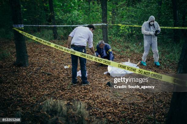 Forensic Photographer At Crime Scene Photos and Premium High Res ...