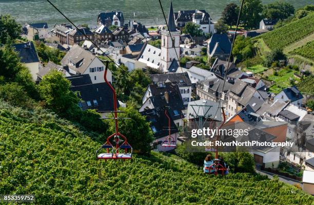 rheingau winegrowing region, hessen, germany - weinreben stock pictures, royalty-free photos & images