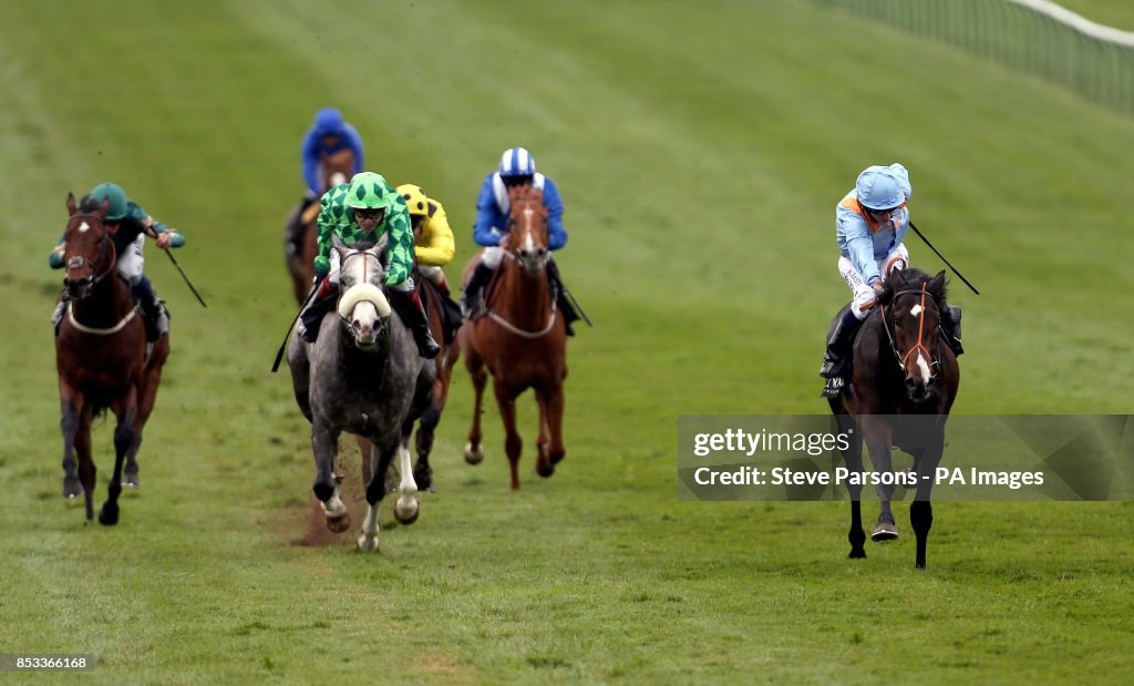 Horse Racing - 2014 Craven Meeting - Day Two - Newmarket Racecourse