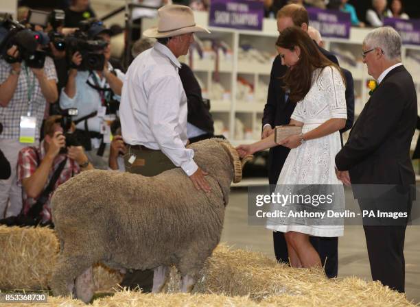 The Duke and Duchess of Cambridge meet a ram as they view agricultural stands at the Royal Easter Show at Sydney Olympic Park during the twelfth day...