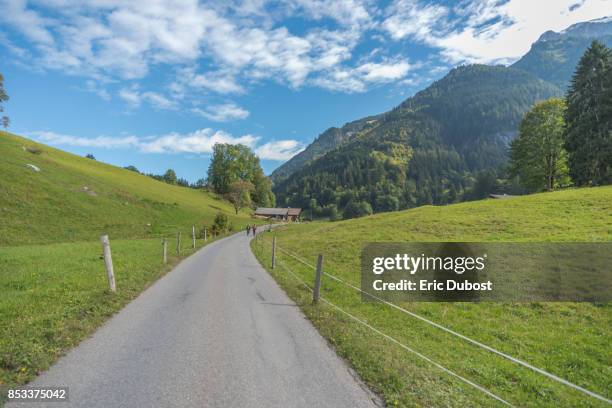 a path - champéry stock pictures, royalty-free photos & images