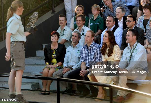 The Duke and Duchess of Cambridge watch Ripley the Barking Owl during a visit to Taronga zoo Sydney during the fourteenth day of their official tour...