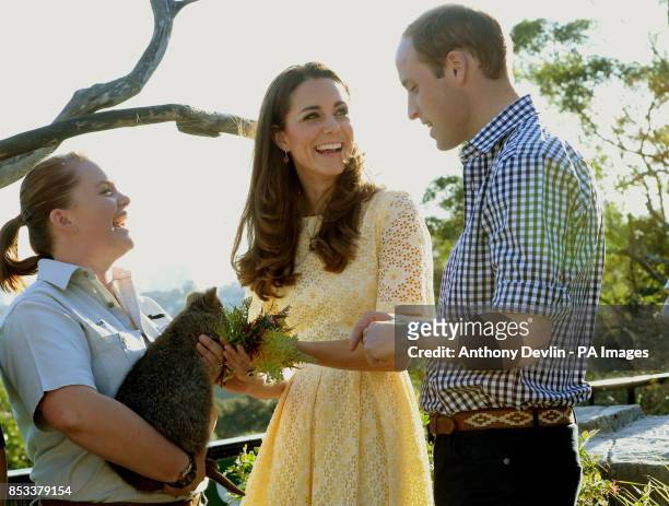 The Duke and Duchess of Cambridge feed a Quokka during a visit to Taronga zoo Sydney during the fourteenth day of their official tour to New Zealand...