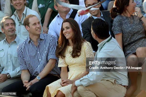 The Duke and Duchess of Cambridge watch an animal display at Taronga Zoo in Sydney during the fourteenth day of their official tour to New Zealand...