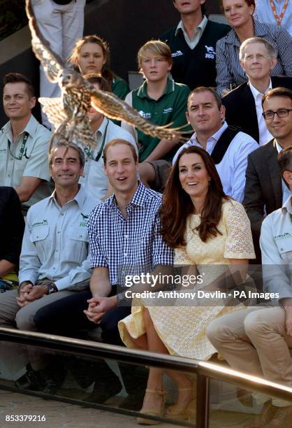 The Duke and Duchess of Cambridge watch Ripley the Barking Owl during a visit to Taronga zoo Sydney during the fourteenth day of their official tour...