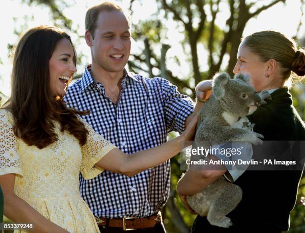 The Duke and Duchess of Cambridge meet Leuca the Koala during a visit to Taronga zoo Sydney during the fourteenth day of their official tour to New...