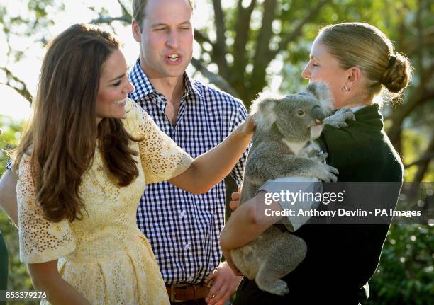 The Duke and Duchess of Cambridge meet Leuca the Koala during a visit to Taronga zoo Sydney during the fourteenth day of their official tour to New...