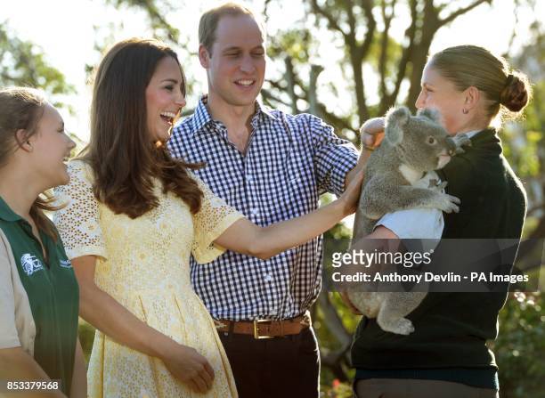The Duke and Duchess of Cambridge meet Leuca the Koala during a visit to Taronga zoo Sydney during the fourteenth day of their official tour to New...