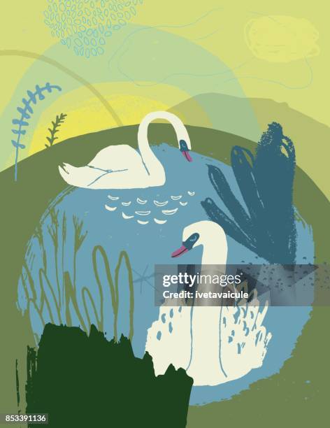 swan lake - swan stock illustrations