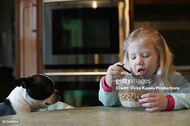 girl eating cereal w her dog  - dog eating a girl out stock pictures, royalty-free photos & images