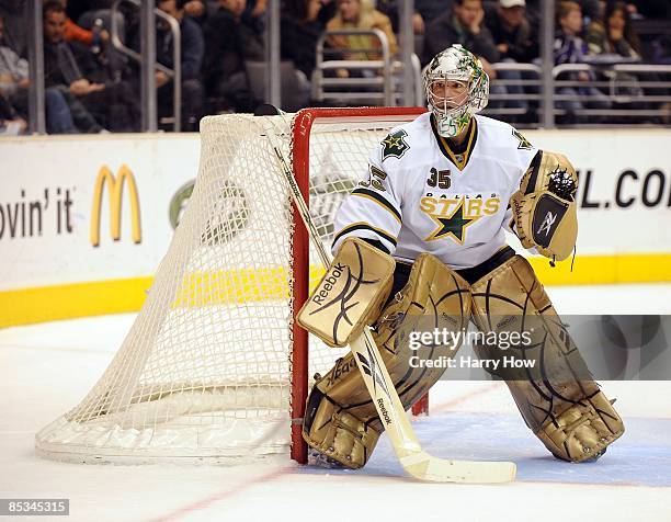 Marty Turco of the Dallas Stars in goal against the Los Angeles Kings during the game at the Staples Center on March 5, 2008 in Los Angeles,...