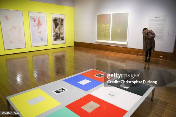 An installation view of the work of artist Andrea Buttner during a press preview for the 2017 Turner Prize at The Ferens Art Gallery on September 25,...