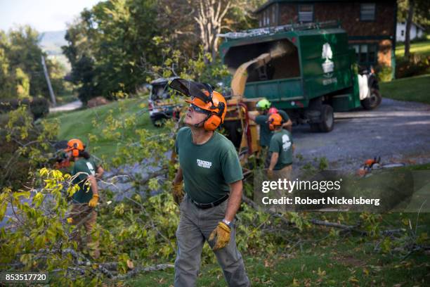 Workman Tree Service 363 Company Workers Cut Tree Branches Stock Photos, High-Res Pictures ...