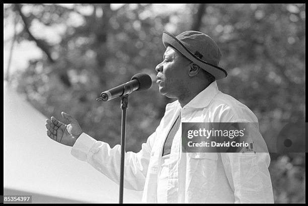 Photo of PAPA WEMBA, performing live onstage