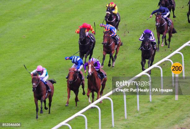 Kingman ridden by James Doyle win The Tattersalls Irish 2,000 Guineas during the Guineas Spring Festival at The Curragh Racecourse, Co Kildare,...