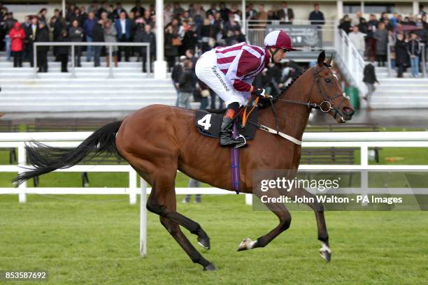 Good Authority ridden by Thomas Brown goes to post for the Betfred Life Changing Scoop6 Today Handicap