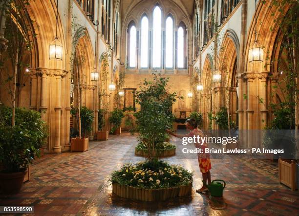 Ruth Kinsella, who has been in charge of flowers at Christ Church Cathedral for 21 years makes final preparations ahead of The Dublin Garden Festival...