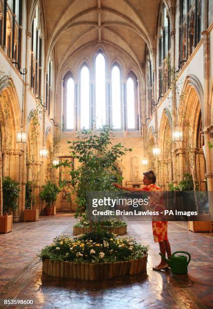 Ruth Kinsella, who has been in charge of flowers at Christ Church Cathedral for 21 years makes final preparations ahead of The Dublin Garden Festival...