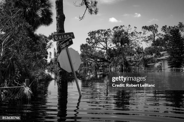 flooded cross streets - storm irma stock pictures, royalty-free photos & images