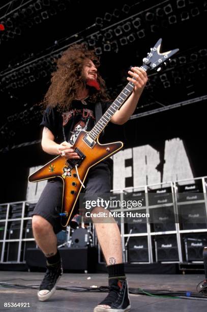 Pantera Pantera Photos and Premium High Res Pictures - Getty Images