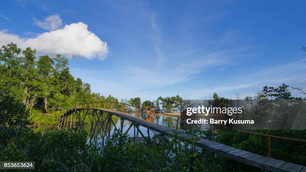 Bitung 363 Bitung Sulawesi Stock Photos, High-Res Pictures, and Images - Getty ...