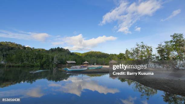 Bitung 393 Bitung Sulawesi Stock Photos, High-Res Pictures, and Images - Getty ...