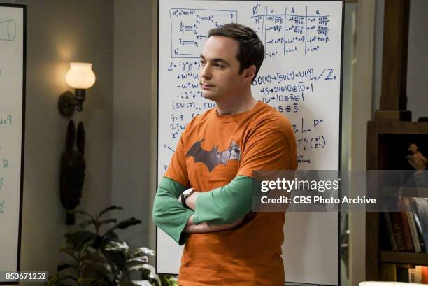 Sheldon Cooper Rage Sheldon King Photos and Premium High Res Pictures - Getty Images