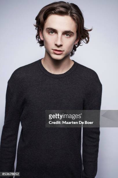 Actor Timothée Chalamet from the film 'Call Me By Your Name' poses for a portrait during the 2017 Toronto International Film Festival at...