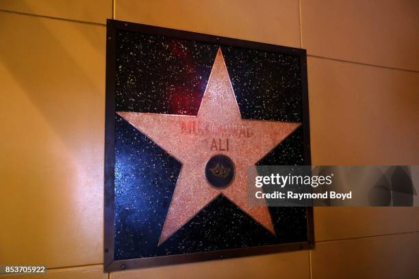 Ali Raks Wal 76 Muhammad Ali Star On Wall Stock Photos, High-Res Pictures, and ...