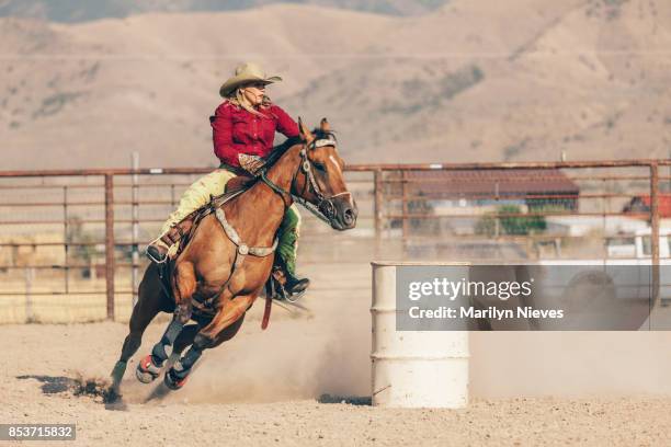 at the rodeo - sport equestre imagens e fotografias de stock