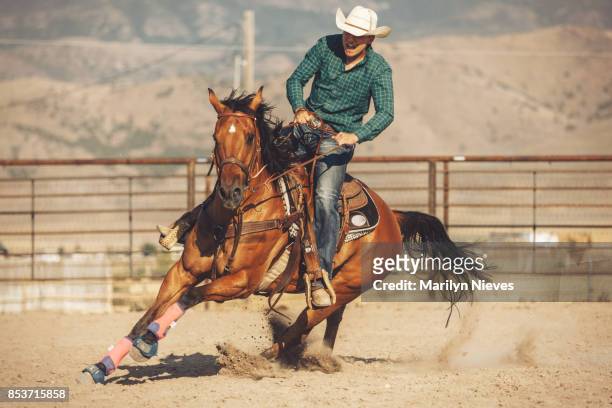 horse barrel run - cowboys stock pictures, royalty-free photos & images
