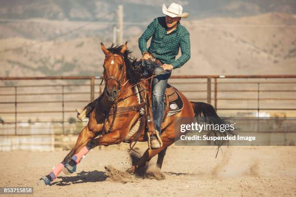 häst fat kör - cowboy bildbanksfoton och bilder