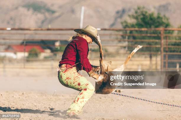 at the rodeo - confined space stock pictures, royalty-free photos & images