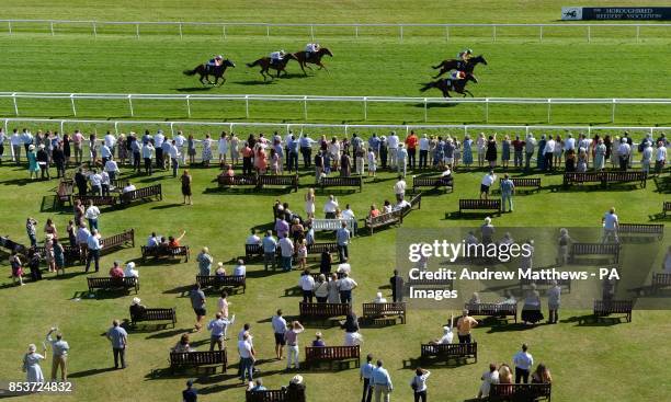 Flying Bear ridden by jockey Ryan Moore comes home ahead of Swendab ridden by Richard Hughes to win the R & M Electrical Group Handicap at Newbury...