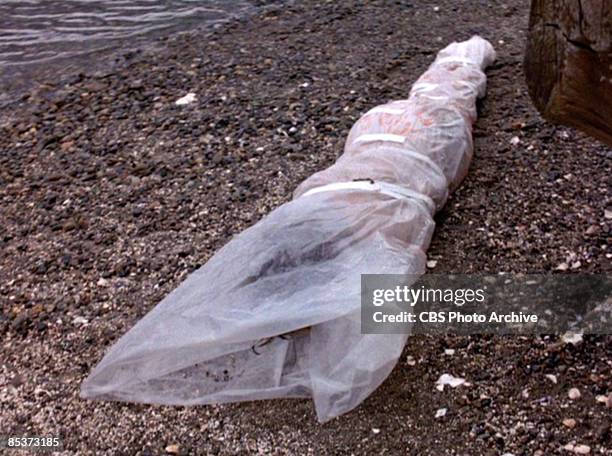 German-born American actress Sheryl Lee lies, wrapped in a plastic sheet, on a rocky beach in a scene screen grab from the pilot episode of the...