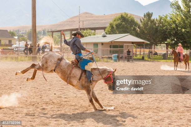 cowboy riding a bucking bronco at a rodeo - broncos 1 stock pictures, royalty-free photos & images