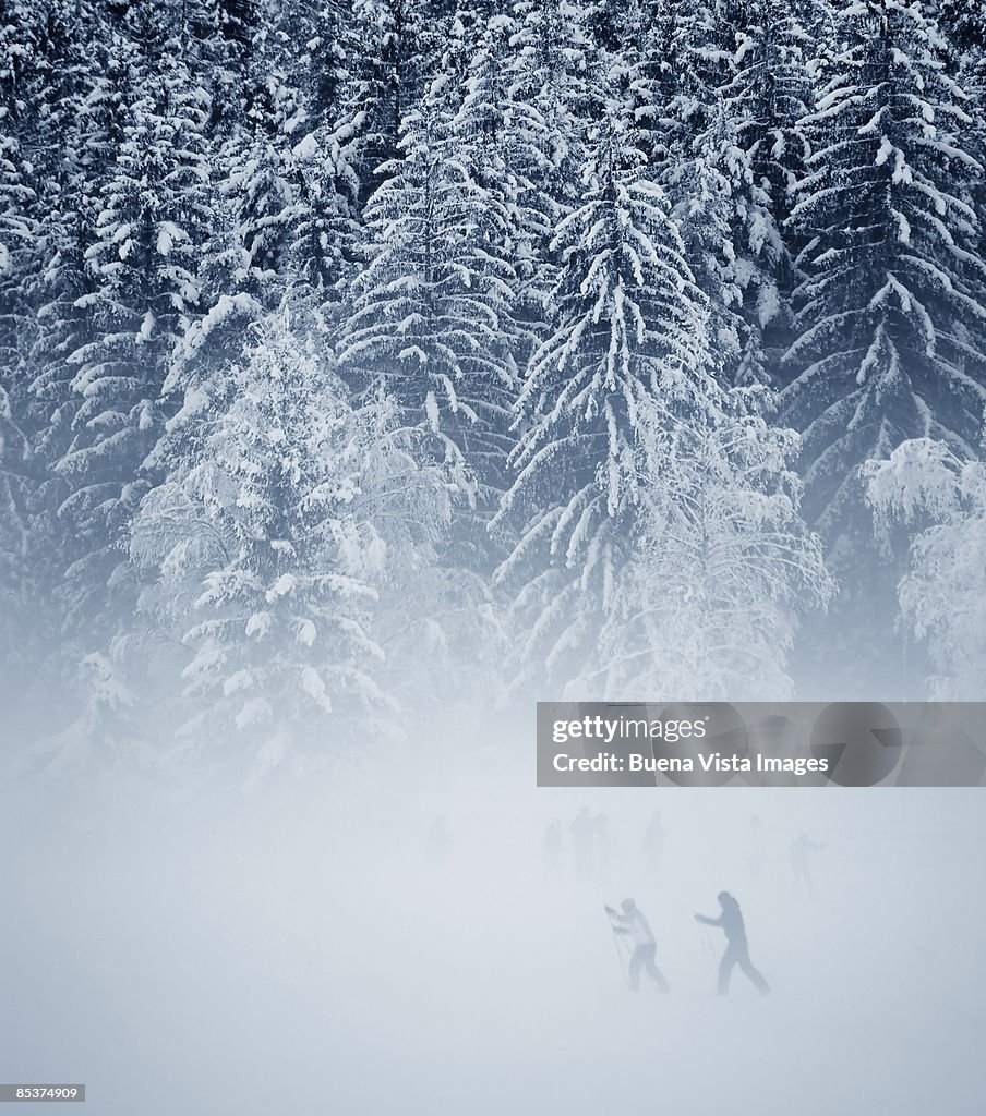 Italy. Piemonte,  Val Vigezzo.