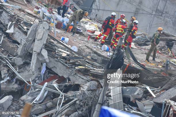 Internationals and Mexican Rescuers are seen continued rescue work with the hope finds bodies with life at Roma neighborhood on September 25, 2017 in...