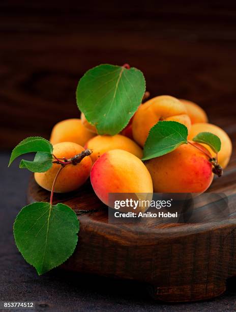 apricots - aniko hobel 個照片及圖片檔