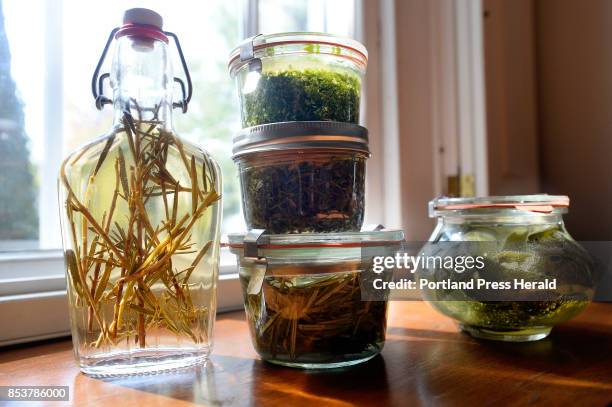 Fermented herbs at Christine Burns Rudalevige's home Tuesday, September 12, 2017. Herbs include rosemary stock with white wine vinegar, parsley,...