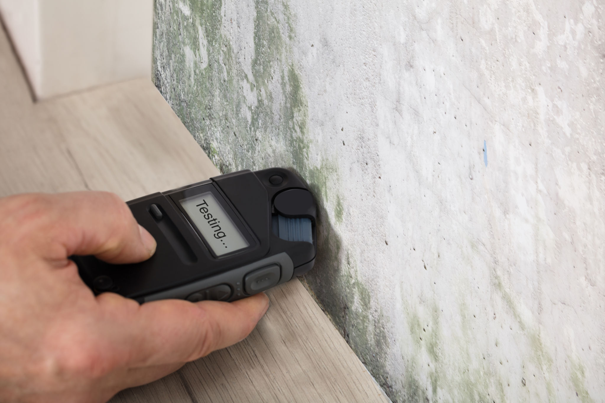 mold inspection tools