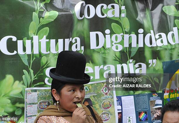 An indigenous woman of the Aymara ethnic group chews coca leaves during a rally in La Paz March 11, 2009. Several organization of indigenous peasants...