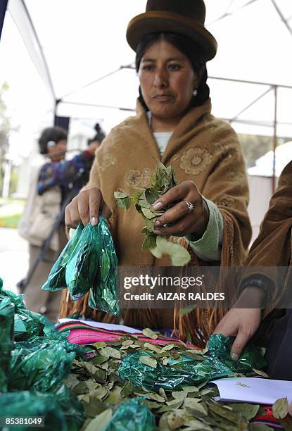 An indigenous woman of the Aymara etnic group sells coca leaves for chewing at a stand in La Paz March 11, 2009. Several organization of indigenous...