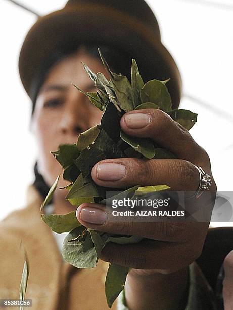 An indigenous woman of the Aymara etnic group sells coca leaves for chewing at a stand in La Paz March 11, 2009. Several organization of indigenous...