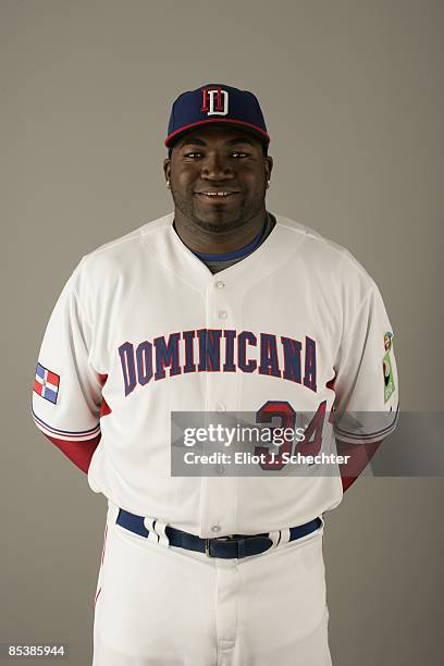 Ortiz_David of team Dominican Republic poses during a 2009 World Baseball Classic Photo Day on Monday, March 2, 2009 in Jupiter, Florida.