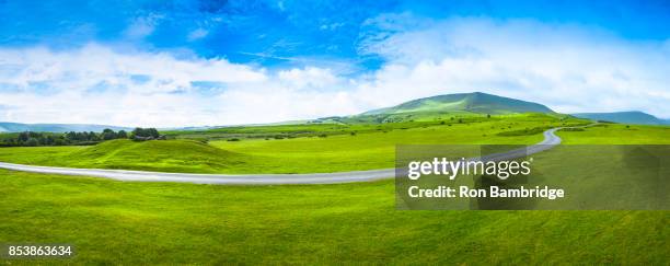 panorama grass covered flat landscape and road - estrada secundária imagens e fotografias de stock