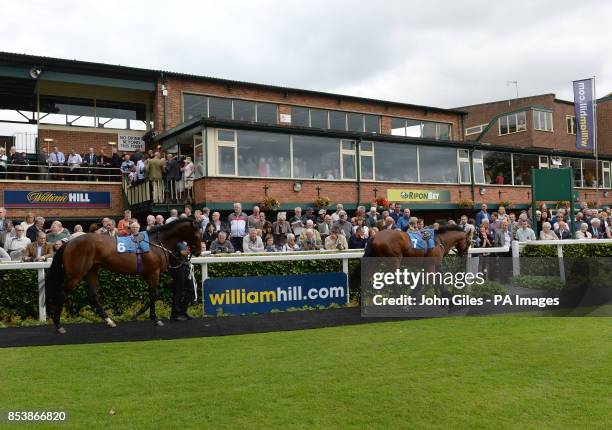 201 Wilfrid Of Ripon Stock Photos, HighRes Pictures, and Images