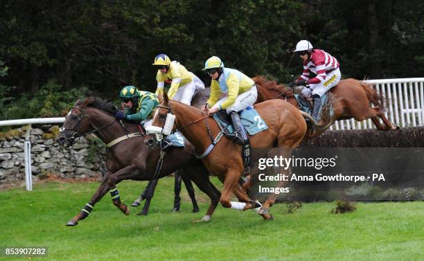 The field makes its way over a fence during the Win a Mini Handicap Steeple Chase at Cartmel Racecourse, Cartmel, Cumbria.